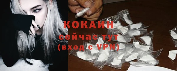 spice Алексин
