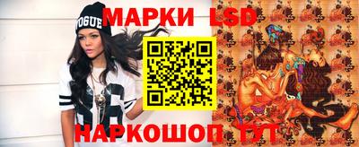 гидра Гатчина