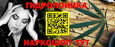 гидра Гатчина