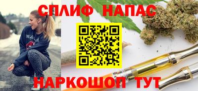 гидра Гатчина