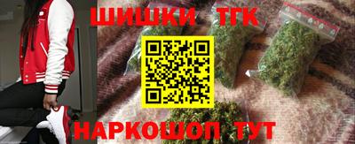 гидра Гатчина