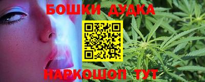гидра Гатчина