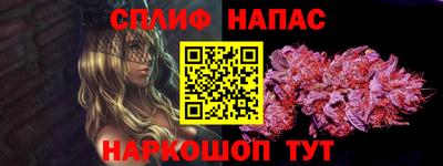 гидра Гатчина