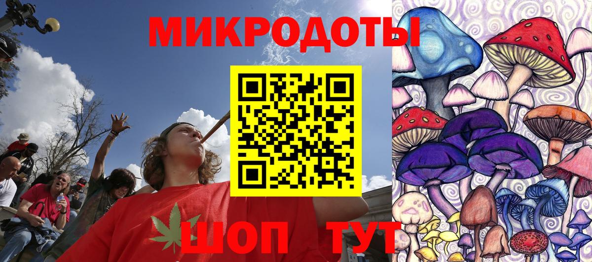 Галлюциногенные грибы прущие грибы Майкоп