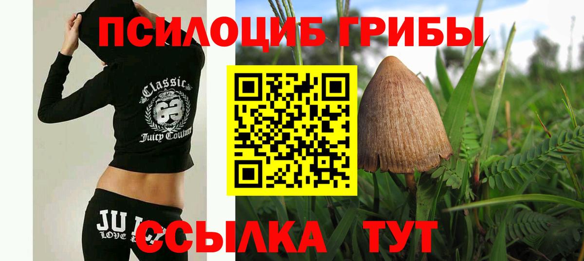 Псилоцибиновые грибы GOLDEN TEACHER  Вход с VPN  Майкоп  Псилоцибиновые грибы мухоморы 